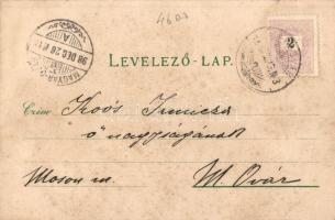 1898 Kaposvár, Vármegyeháza, takarékpénztár, régi gimnázium, új főgimnázium, államvasúti tápintézet,...