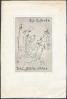 Joan François Obbes (1869-1963): Ex libris M. C. Blöte. Rézkarc, papír. 14x9 cm