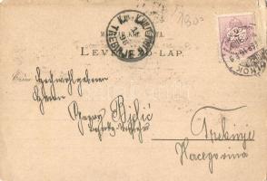 1898 Budapest, Andrássy út, Tudományos Akadémia, floral litho (b)