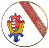 3db vegyes jelvény és sapkajelvény tétel, benne DN "VIII. kerületi Főreál Iskola" zománcoz...