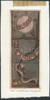 Olvashatatlan jelzéssel: Galambos Ferenc ex libris. Rézkarc, papír, jelzett, 12,5x5 cm