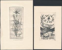 3 klf külföldi alkotótól (Olev Soans, A. Drobnik.)  származó ex libris Rézkarc, papír,  jelzett,  / ...