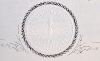 Budapest 1922. "Egyesült Fővárosi Takarékpénztár" részvénye 600K-ról, felülbélyegzéssel, s...