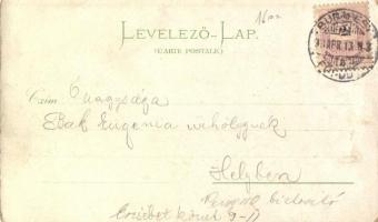 1898 Budapest, Igazságügyi palota, Vígszínház, floral, litho (EK)