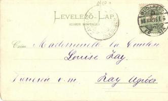 1898 Budapest, Erzsébet körút, lipótvárosi bazilika, floral litho (EK)