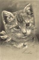 Cat, Emb. litho