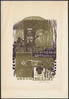 Diskay Lenke (1924-1980): In Memoriam Dott. Nerone Santagiuliana Ex libris. Színes fametszet, papír, jelzett, 12×8 cm