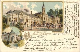 Sopron, Oedenburg; Ignaz Flandorffer bornagykereskedő cégtelepe, villa, litho