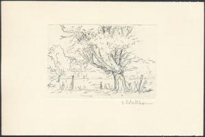 Gerald Schellhorn(1940-?): Ház az erdő szélén. Rézkarc, papír, jelzett, 55x7,5 cm