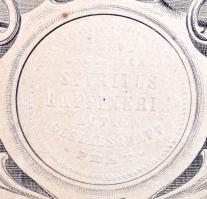 Budapest / Pest 1866. "Első magyar szesz-finomitó részvény-társulat Pesten" részvénye 250F...