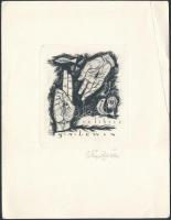 Win Zviers (1922-): Ex libris G. A. Lewin.. Rézkarc, papír, jelzett / Etched bookplate, 8x9cm