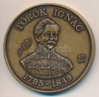 Bognár György (1944-) 1995. "MÉE Gyöngyösi Csoport - Aradi Vértanúk / Török Ignác" Br emlékérem (42,5mm) T:1