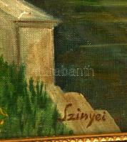 Színyei jelzéssel: Arborétum. Olaj, karton, keretben, 53×70 cm