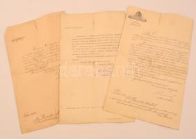 1893-1902 Szeged, Fegyházi és börtönfelügyelői kinevezések, 3 db, okmánybélyegekkel