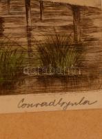 Conrád Gyula (1877-1959): Reggel a Dunán. Színezett rézkarc, papír, jelzett, üvegezett keretben, 29×...