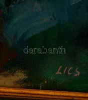 Lics Zsuzsa (1944-): Mátrai hegyek. Olaj, vászon, jelzett, keretben, 50×70 cm