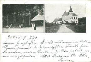 1899 Marosberkes, Birkis, Birchis; Mocsónyi-kastély / castle  (EB)