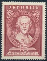 Martin Johann Schmidt Martin Johann Schmidt