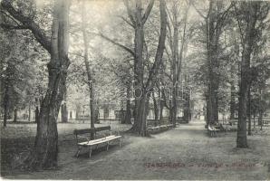 Szászrégen, Reghin; Városliget / park (EK)