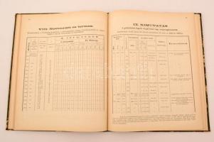 Arad-megye és Arad-város ismertetése. A magyar orvosok és természetvizsgálók Arad-városban tartott X...