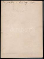 cca 1900 Kassa, Zenepavilon a Széchenyi réten, keményhátú fotó, hátoldalán feliratozva / Kosice musi...