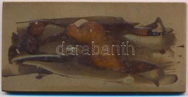 Garamkeszi János (1936-) DN "Zrínyi Miklós Katonai Akadémia" Br emlékplakett (51x105mm) T:...