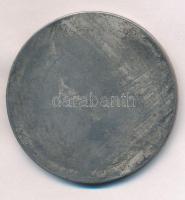 DN "Lady Godiva" ezüstözött Br emlékérem dísztokban. Szign.: ANT GRATH? (60mm) T:2
ND &qu...