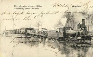 Gombos teherész kompra állítása