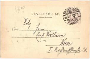 1899 Szombathely, Megyeháza, kiadja Apfel H. C