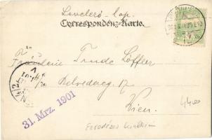 1901 Budapest XIV. Ős-Budavára, szökőkút, photo