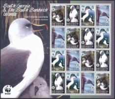 WWF: Szürkefejű albatrosz kisív, WWF Gray-headed albatross mini sheet