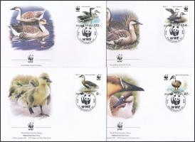 WWF: Kínai hattyúlúd sor 4 db FDC-n, WWF: Chinese swan set on 4 FDC