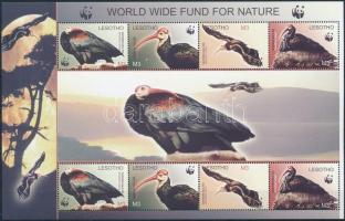 WWF: Southern northern bald ibis minisheet, WWF: Déli  tarjvarjú kisív