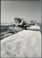 A Szovjetunióból érkezett aratógépek, 2 db sajtófotó, 18x13 és 20x24 cm