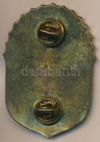 DN "Vitézi Jelvény" festett, modern Br jelvény T:2
