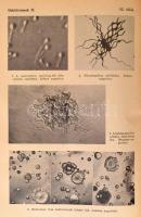Új idők lexikona 1.-24. kötet. Komplett!, Budapest, 1936-1942, Signer és Wolfner Irodalmi Intézet Rt...