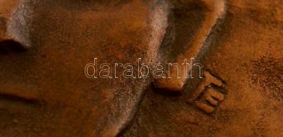 Takács Erzsébet (1928-1999): Stefkó József. Bronz plakett, jelzett, fára ragasztva, hátán a művész a...