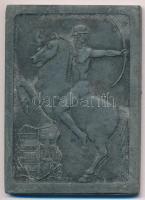 ~1940. "Honvéd Sportversenyek" Zn plakett "LUDVIG BP." gyártói jelzéssel. Szign....