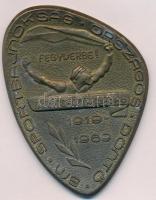 1969. "BM. Területi Sportbajnokság - Fegyverbe! - Tanácsköztársaság 1919-1969" fém plakett (84x61mm) T:2