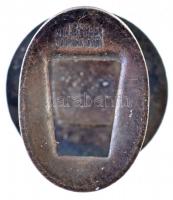 Franciaország DN "LNFA (Ligue Nationale du Football de Amateur" zománcozott fém gomblyukje...