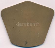 ~1970-1980. "Eredményes Szakszervezeti Munkáért 1877-1903" zománcbetétes Br plakett, Vasas...