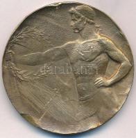 DN "Budafoki Munkás Dalkör" kétoldalas fém érem (49,5mm) T:2- ph