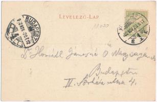 Kolozsvár, Cluj; Erzsébet királyné szobor / statue