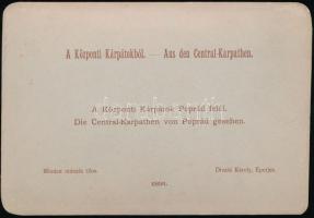 1891 A Központi-Kárpátok Poprád felől, keményhátú fotó, hátoldalon feliratozva, 11x16 cm