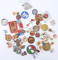 52db-os vegyes magyar és külföldi jelvény és kitűző tétel, nagyrészt a szocialista korszakból, közte 1978. "Forradalmi Ifjúsági Napok 1919-1978." festett fém jelvény (51mm), Szovjetunió "Aeroflot - CCCP" jelvény, ~1970-1980. "10 éves - IG (Ifjú Gárda) KISZ" zománcozott jelvény, 1952. "HVDSZ (Helyiipari és Városgazdasági Dolgozók Szakszervezete)" festett fém jelvény T:vegyes