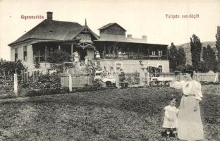 Gyenesdiás, Diás; Farkas Márton Tulipán vendéglője, étterem és szálloda (lyuk / pinhole)