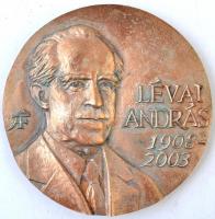 2003. "Lévai András 1908-2003 / MTA Lévai Energetikai Alapítvány" kétoldalas Br plakett. Szign.: ÁF (108mm) T:2 patina