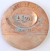 2003. "Lévai András 1908-2003 / MTA Lévai Energetikai Alapítvány" kétoldalas Br plakett. S...