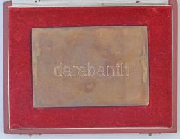 Kiss Kovács Gyula (1922-1984) DN "Magyar Újságírók Országos Szövetsége - Filmkritikusok Díja&qu...