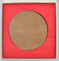 DN "Férfiportré" öntött Br plakett, másolat(?), hozzá illő tokban (92mm) T:2-
ND "Ma...